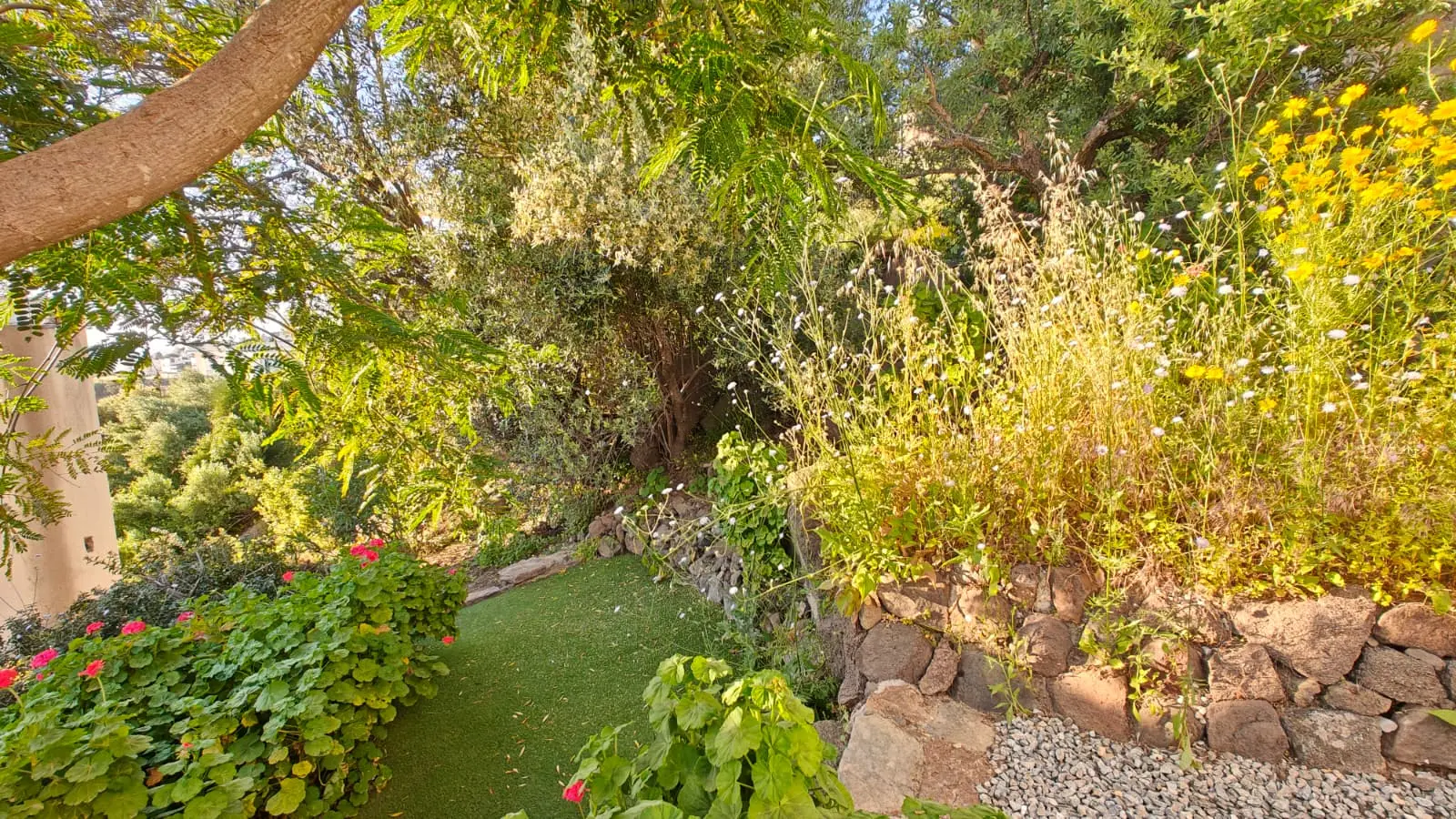 Mature garden